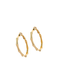 gold bamboo hoop earrings_cutout