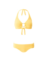 brussels-sunflower-bikini_cutouts_2025 